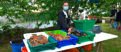 Marché de Champeaux